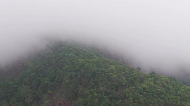 Koh Chang adasının ormanlık dağ yamacının üzerinde yuvarlanan beyaz sis, yoğun yağmur ormanları tepe örtüsünden yükselen gizemli ve dingin atmosferle bereketli tropikal manzarayı örtüyor.