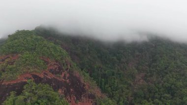 Beyaz bulutlar yemyeşil ağaçların üzerinde yavaşça sürükleniyor, yemyeşil koh chang orman manzarasını sisli, ruhani bir tropikal manzarayla kaplıyor, havadan bakıldığında el değmemiş bir adayı ortaya çıkarıyor.