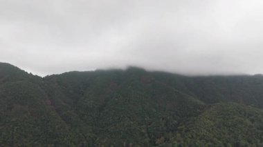 D-Log videosu. Koh chang adalarını gözler önüne seren hava manzarası alçak bulutlarla kaplı yeşil yağmur ormanları, yavaş yavaş serin tropikal alandaki yemyeşil bitkileri ortaya çıkarıyor.