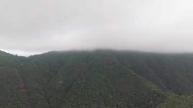 Koh chang adalarını gözler önüne seren hava manzarası alçak bulutlarla kaplı yeşil yağmur ormanları, yavaş yavaş serin tropikal alandaki yemyeşil bitkileri ortaya çıkarıyor.
