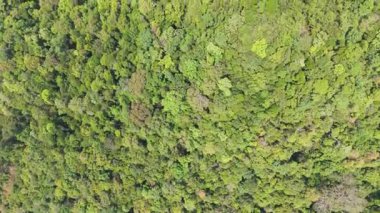 Koh Chang adası yoğun, canlı, yeşil bir tropikal orman tepe örtüsü gösteriyor. Havadan bakıldığında güzelliğin büyüleyici bir duvar halısı oluşturuyor.