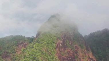 Verdant dağ zirvesi yumuşak sisle kaplandı, sisli tropikal manzaranın büyüleyici katmanları yemyeşil yabanda sürüklenen narin bulut hareketleriyle