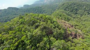 Verdant orman tepe örtüsü dalgalı arazi üzerinde yayılıyor, yüksek irtifa hava perspektifinden yemyeşil bitki örtüsü ile tropikal yabanın el değmemiş manzarasını ortaya çıkarıyor