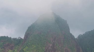 Verdant dağ zirvesi etrafında dönen yoğun sis dalgalanan bulutlarla dolu dramatik doğal manzarayı serin, atmosferik dönüşümlü yemyeşil araziyi sarar.