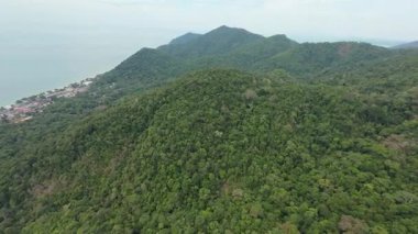Dik yamaçlardan aşağı süzülen yemyeşil yağmur ormanları, Koh Chang, Tayland 'daki kıyı yerleşiminin yakınlarındaki engebeli araziyi yoğun yeşil örtüyor.