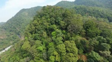 Hava manzaraları, bir dağ sırasının yamaçlarını kaplayan tropikal bir ormanın yoğun ve canlı yeşil gölgesini, kıyı kasabasının ve uzaktaki turkuaz suların görüntüleriyle sergiliyor.