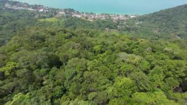 Verdant tropikal ormanı, dağlık araziyi örtüyor. Turkuaz okyanus sularına doğru iniyor. Resmedilmeye değer Tayland adası yakınlarındaki kıyı manzarası.