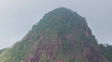 Verdant dağ zirvesi yumuşak sisle kaplandı, sisli tropikal manzaranın büyüleyici katmanları yemyeşil yabanda sürüklenen narin bulut hareketleriyle