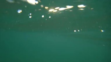 Güneş ışığı okyanusların yüzeyini ve sualtı derinliklerini aydınlatır, aşağıdaki canlı turkuaz ile yukarıdaki güneşin altın rengi arasında büyüleyici bir kontrast yaratır.