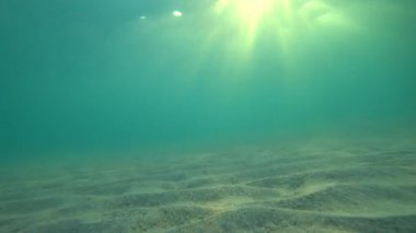 Parlak güneş ışığı kristal berrak turkuaz sulara nüfuz eder, dalgalı deniz tabanında parlak ışınlar saçar, büyüleyici ışık ve gölge desenleri yaratır.