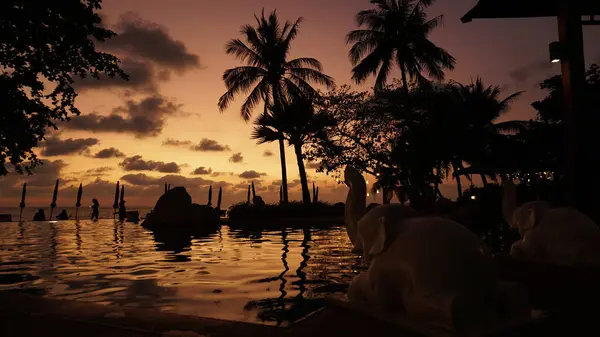 İki fil heykeli, tropikal bir gün batımında sonsuz bir havuzun kenarına yerleştirilir. Palmiye ağaçları renkli gökyüzüne karşı siluetlenir ve turistler havuzun keyfini çıkarırlar.
