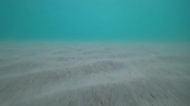 Turkuaz su altı deniz yatağı ve sakin okyanus yüzeyinde gün batımında turuncu ve pembe ışığı yansıtan küçük dalgalar barışçıl ve büyüleyici bir atmosfer yaratıyor.