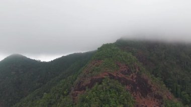 Koh chang adasının yeşil yamaçlarını kaplayan puslu alçak bulutlar uzak güneydoğu Tayland 'da gizemli, sakin atmosferli tropikal yağmur ormanlarını ortaya çıkarıyor.