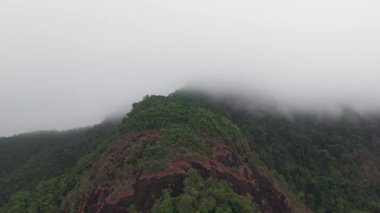 Tayland 'daki Koh Chang adasındaki bir dağın yemyeşil zirvesinde beyaz sis yuvarlanıyor ve büyüleyici bir doğa güzelliği ve güç manzarası yaratıyor.