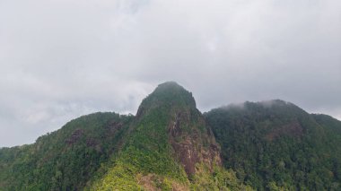 Alçak bulutlar yemyeşil dağların zirvelerini kaplıyor. Sakin ve gizemli bir atmosfer yaratıyor. Tropikal yağmur ormanları içinde.