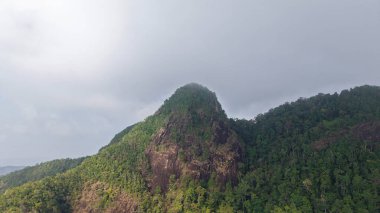 Alçak bulutlar yemyeşil yağmur ormanlarını sarar dağ zirvesi, tropikal ormanda sakin bir atmosfer yaratır. Bu el değmemiş ekosistemde canlı yeşillikler gelişir.