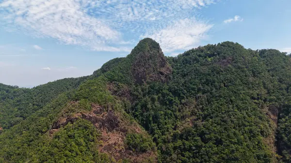 Görkemli dağ zirvesi, yemyeşil bitki örtüsüyle kaplı, parlak mavi bir gökyüzüne doğru yükseliyor ince beyaz bulutlarla benekli, nefes kesici bir doğal manzara yaratıyor.