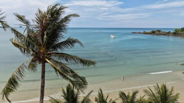 Turistlerin yüzdüğü ve kristal berrak turkuaz suda güneşlendiği pitoresk bir plajı çerçeveleyen bereketli palmiye ağaçları ve uzaklarda yelken açan bir yat.