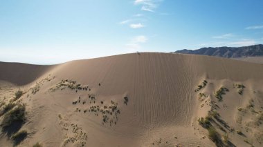 Yürüyüşçüler, sakin bir çöl manzarasında büyük bir kum tepesi boyunca yürüyorlar. Doğanın enginliği ve sükunetiyle ıslanıyorlar.