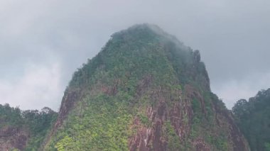 Verdant dağ zirvesi yumuşak sisle kaplandı, sisli tropikal manzaranın büyüleyici katmanları yemyeşil yabanda sürüklenen narin bulut hareketleriyle