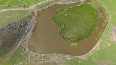 Yürek şeklindeki göletin yanında otlayan sığırlar, yeşil yemyeşil çayırları çevreleyen huzurlu kırsal araziyle birlikte havadan bakan yaz manzarasını yakalıyor.