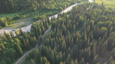 Yoğun orman tepe örtüsünde parlayan güneş ışığı el değmemiş el değmemiş vahşi doğada yemyeşil ağaçlar arasında dolanan dolambaçlı nehri ortaya çıkarıyor.