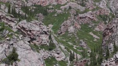 Engebeli dağ zirveleri yemyeşil arazide dramatik bir şekilde yükseliyor. Geniş mavi gökyüzü altında el değmemiş vahşi doğayı ve dingin doğal güzelliği gözler önüne seriyor.