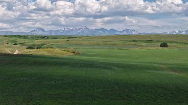 Uçsuz bucaksız yeşil otlaklar, bulutlu bir gökyüzü tarafından çerçevelenmiş görkemli kar örtülü dağlara doğru uzanır. Doğal güzelliklerle dolu sakin ve resimsel bir manzara yaratır.