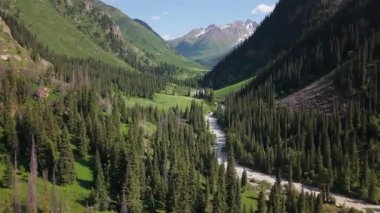 Görkemli dağlarla ve sık ormanlarla çevrili yemyeşil bir vadide dolanan kristal berrak nehir manzaralı bir manzara oluşturuyor.