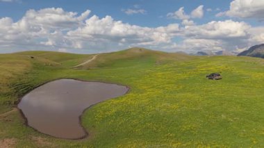 Sarı çiçekli yeşil çayır ve bulutları yansıtan küçük bir gölet. Arka planda dağlar ve tepeler olan bir SUV gölün yanında park halinde.