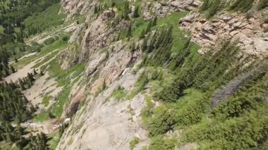 Görkemli şelale sarp, kayalık bir dağ yamacından aşağı yuvarlanıyor, canlı yeşil bir vadi ve parlak mavi gökyüzünün altında yoğun bir kozalaklı orman ile çevrili.