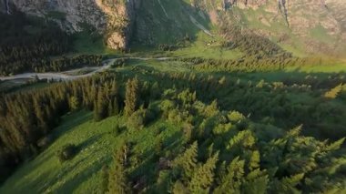 Altın güneş ışığı kıvrımlı nehir vadisi boyunca akar, sık çam ormanı yemyeşil çayırları sarar el değmemiş yaban hayatı uzak ufka doğru uzanır.