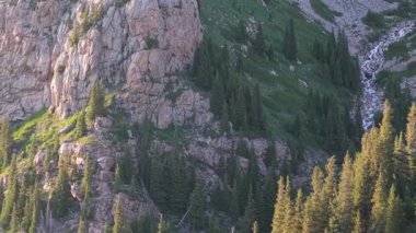 Kristal berrak su zarif bir şekilde canlı yeşil bitki örtüsü ve yüksek çam ağaçları ile süslenmiş kayalık bir dağ yamacından aşağı akar ve pitoresk bir doğal manzara yaratır.