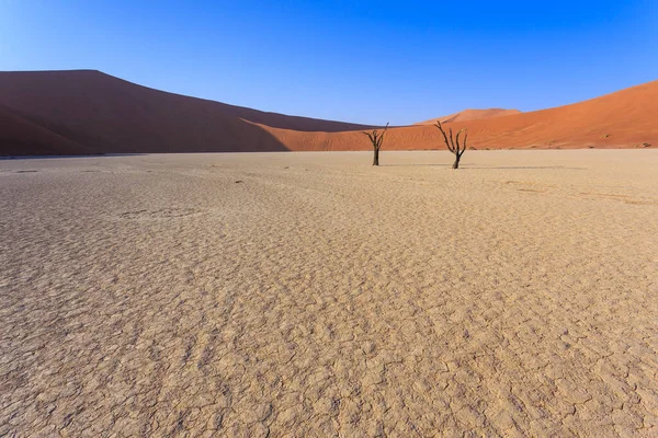 Deadvlei Vit Lerpanna Belägen Inne Namib Naukluft Park Namibia Döda — Stockfoto