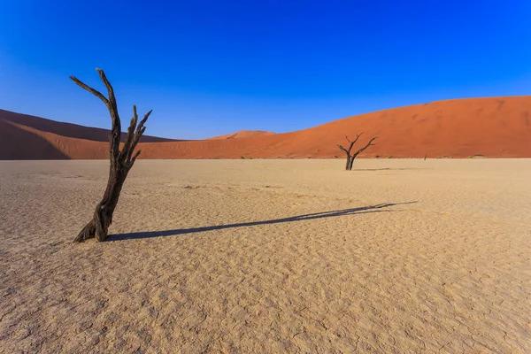Deadvlei Λευκό Πήλινο Τηγάνι Που Βρίσκεται Μέσα Στο Πάρκο Namib — Φωτογραφία Αρχείου