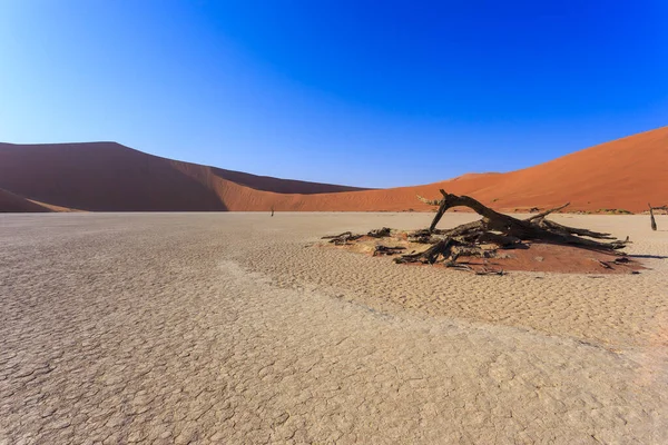 Deadvlei Namibya Daki Namib Naukluft Parkı Nda Bulunan Beyaz Kil — Stok fotoğraf