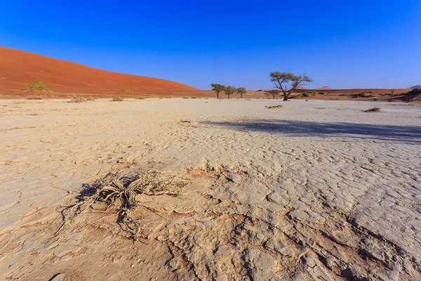 Deadvlei Panela Barro Branco Localizada Dentro Parque Namib Naukluft Namíbia — Fotografia de Stock