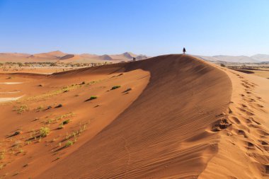 Deadvlei, Sossusvlei, Namibya - 29 Eylül 2018: Kum tepelerinde yürüyen insanlar. Namib Naukluft Ulusal Parkı. Sossusvlei 'deki kum tepeleri. Gün doğumu. Namibya. Afrika.