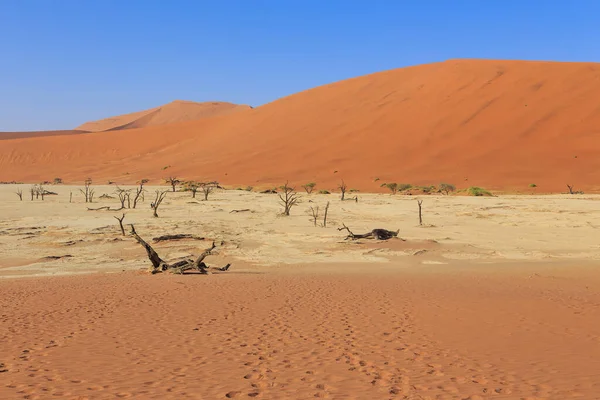 Increíble Vista Desde Duna Hasta Molde Sal Sossusvlei Namib Naukluft — Foto de Stock