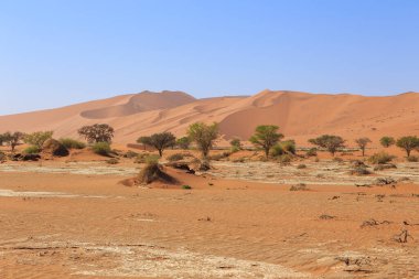 Kum tepesinden Sossusvlei 'nin tuz tepesine inanılmaz bir manzara. Namib Naukluft Ulusal Parkı. Sossusvlei 'deki kum tepeleri. Gün doğumu. Namibya. Afrika.