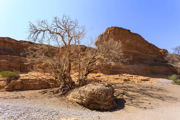 Sesriem Canyon Wichtige Attraktion Namib Wüste Namib Naukluft National Park — Stockfoto