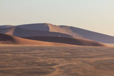 Meşhur kum tepesi 45. Namib Çölü 'nün güneyindeki Namib-Naukluft Ulusal Parkı' nda..