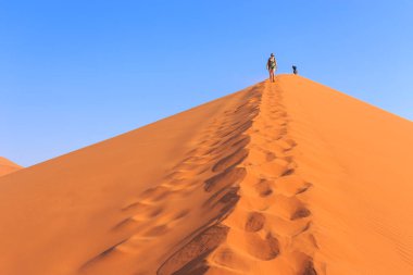 Sossusvlei, Namibya - 30 Eylül 2018: Meşhur kum tepesi 45 'te turist. Namib Çölü 'nün güneyindeki Namib-Naukluft Ulusal Parkı' nda..