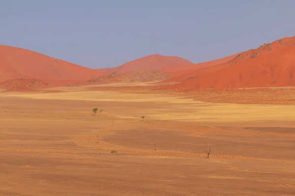 Beroemde Duin Het Zuidelijke Deel Van Namibische Woestijn Het Nationale — Stockfoto