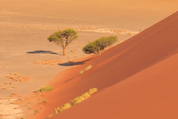 著名的沙丘45 纳米比亚纳米布 瑙克罗夫特国家公园内的纳米布沙漠南部 — 图库照片