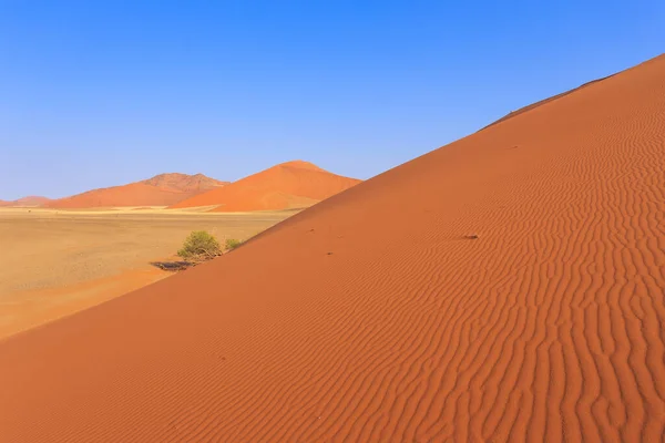 Знаменита Дюна Південна Частина Пустелі Наміб Національному Парку Наміб Науклуфт — стокове фото