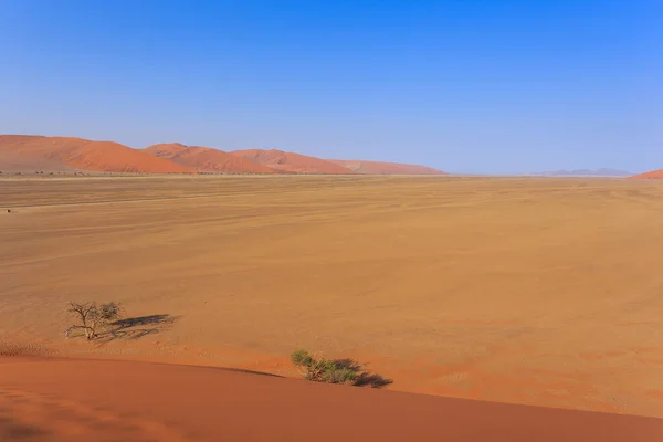 Den Berömda Sanddynen Södra Delen Namiböknen Namib Naukluft Nationalpark Namibia — Stockfoto