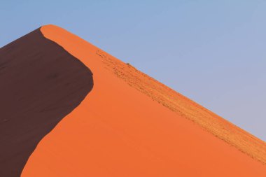 Namib-Naukluft Ulusal Parkı 'ndaki Namib Çölü' nün güney kesimindeki kum tepeleri. Güzel gün batımı. Önündeki ağaç.