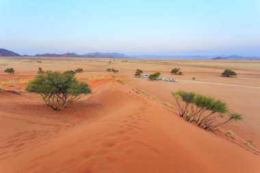 Namib-Naukluft Ulusal Parkı 'ndaki Namib Çölü' nün güney kesimindeki kum tepeleri. Güzel gün batımı. Önündeki ağaç.