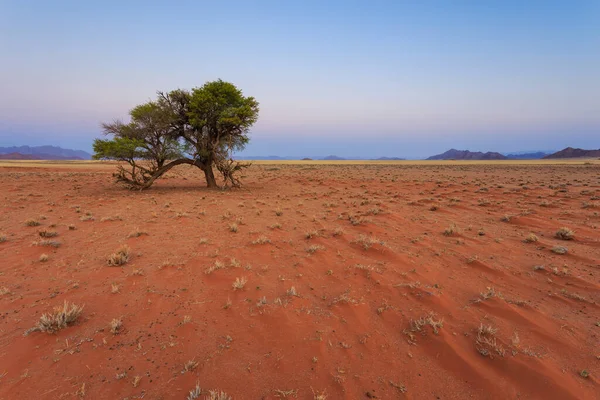 Dunes Southern Part Namib Desert Namib Naukluft National Park Namibia — Foto de Stock